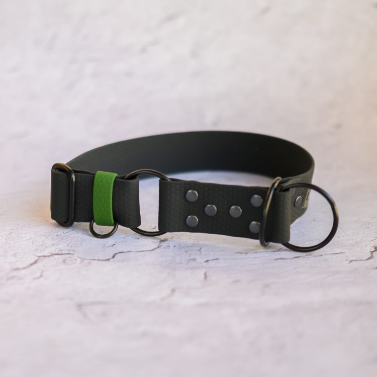 Czarna obroża półzaciskowa Bueno DOG Hexa 40 mm z zieloną szlufką i zaczepem na adresówkę