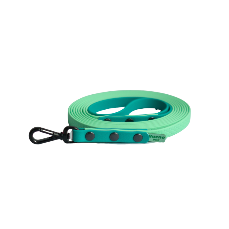 Miętowo-turkusowa smycz miejska Bueno DOG 13 mm z czarnymi okuciami