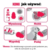kong_spos_b_podania.webp