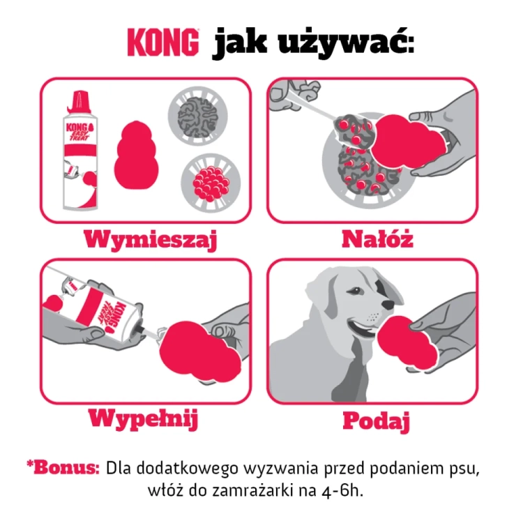 kong_spos_b_podania.webp