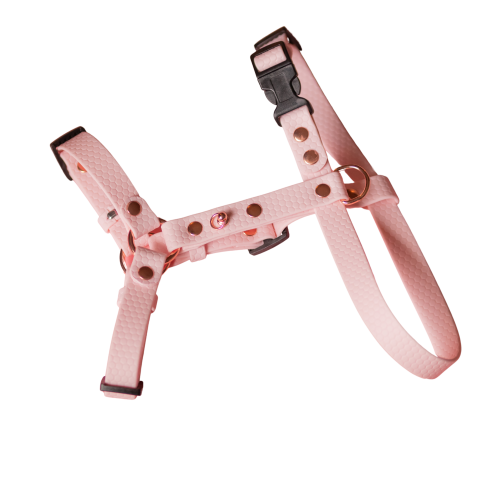 Jasnoróżowe szelki guard Bueno DOG 20 mm z czarną klamrą