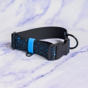 Obroża na zatrzask 4 cm (40 mm) dla psa – widok całego produktu Bueno DOG