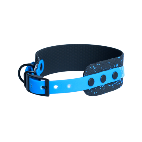Czarno-niebieska obroża Bueno DOG LIGHT 40 mm na sprzączkę z efektem Splash
