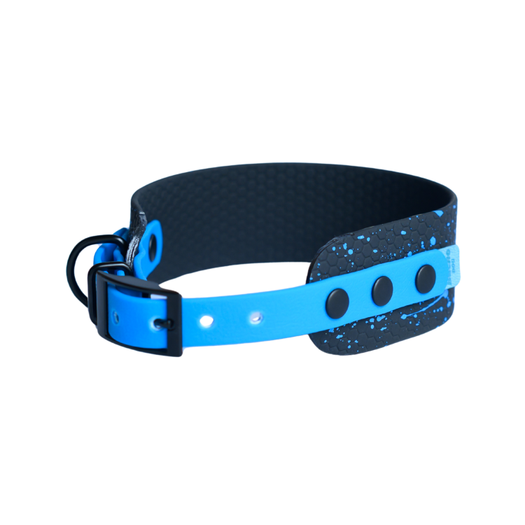 Czarno-niebieska obroża Bueno DOG LIGHT 40 mm na sprzączkę z efektem Splash