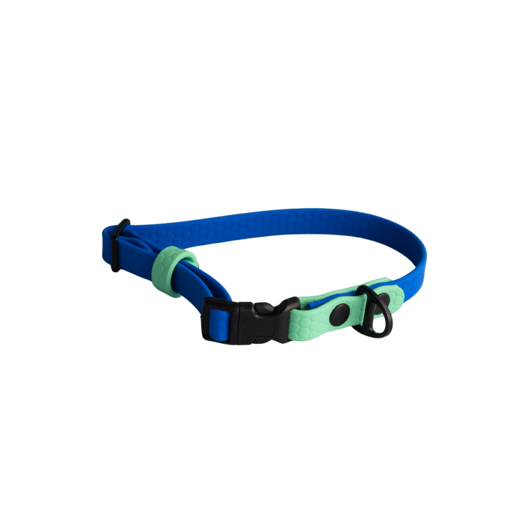 Niebiesko-miętowa obroża Bueno DOG hexa 13 mm z czarną klamrą na zatrzask