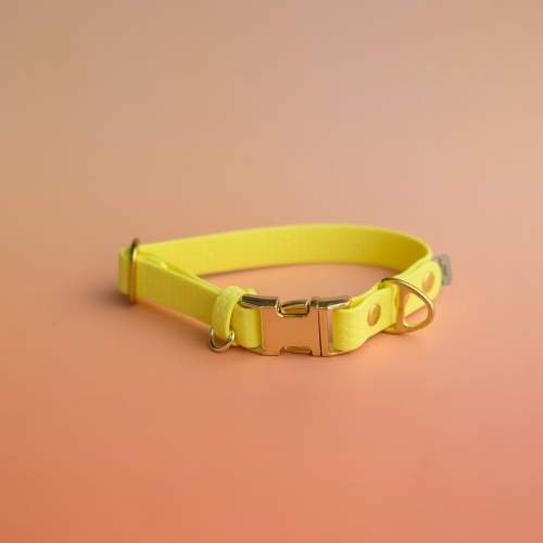 Obroża na zatrzask pastel yellow 27-39 cm 2 cm