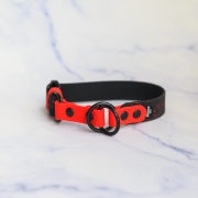 Czarna obroża półzaciskowa Bueno DOG z neonowopomarańczowym paskiem i Splash