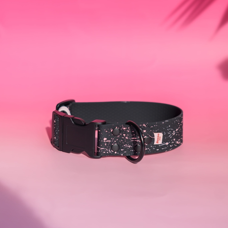 Obroża na zatrzask 4 cm (40 mm) dla psa – widok całego produktu Bueno DOG