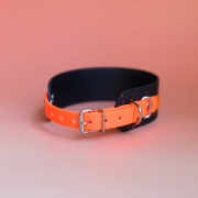 Obroża Bueno DOG LIGHT, zbliżenie pomarańczowego zapięcia na srebrną sprzączkę