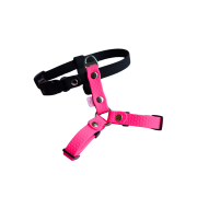 cdd8725f-b3e7-4e51-aedb-1b23a3c72785.png