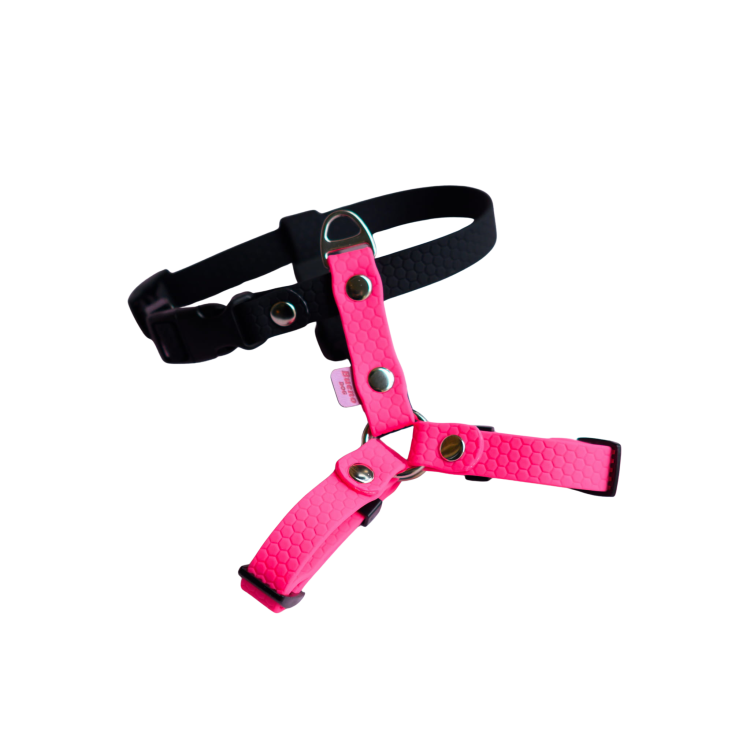 cdd8725f-b3e7-4e51-aedb-1b23a3c72785.png