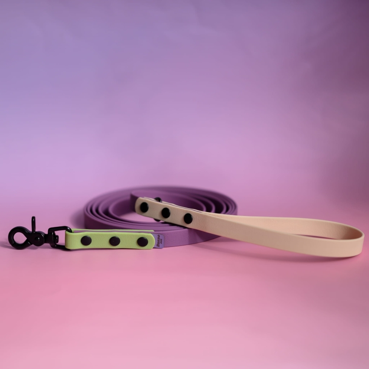 bueno dog- akcesoria-dla psów-obroza-smycz-dla-psa (28).jpg