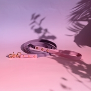 bueno dog- akcesoria-dla psów-obroza-smycz-dla-psa (32)-2.jpg