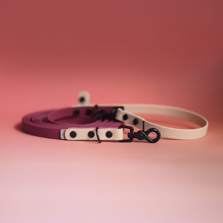 bueno dog- akcesoria-dla psów-obroza-smycz-dla-psa (14).jpg