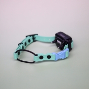 Pasek bungee do e-collar ze stoperem i liną elastyczną – zbliżenie na detale okuć