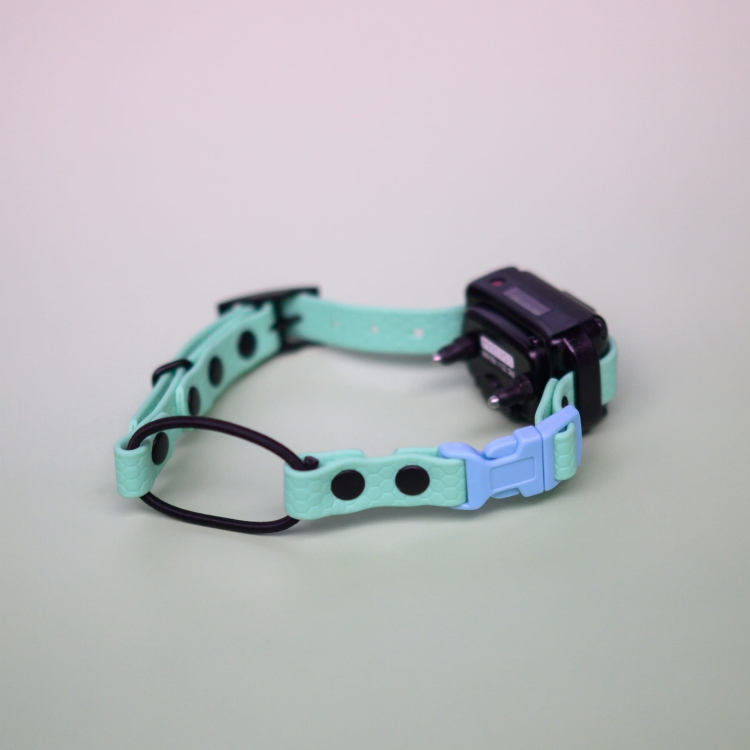 Pasek bungee do e-collar ze stoperem i liną elastyczną – zbliżenie na detale okuć