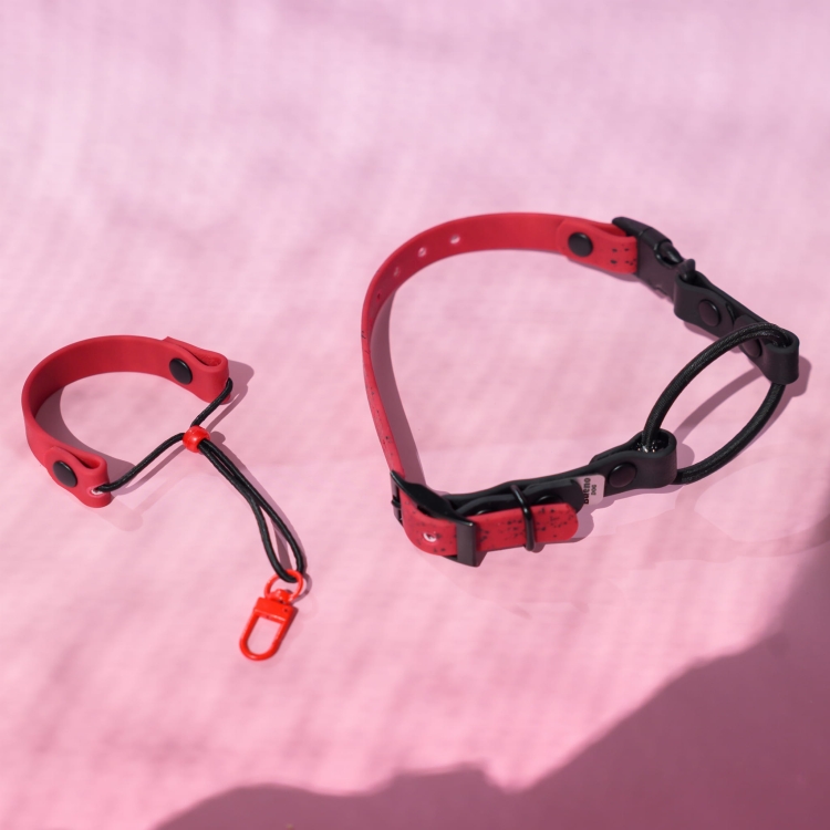 Personalizowany pasek wymienny do obroży elektrycznej 20mm — wybór kolorów taśmy