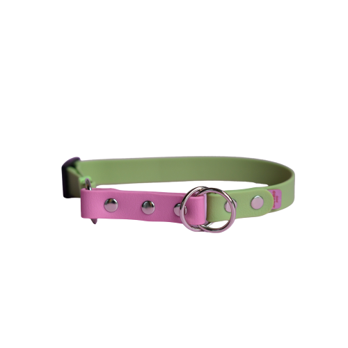 Zielona obroża półzaciskowa Bueno DOG PawTex 20 mm z różowymi dodatkami