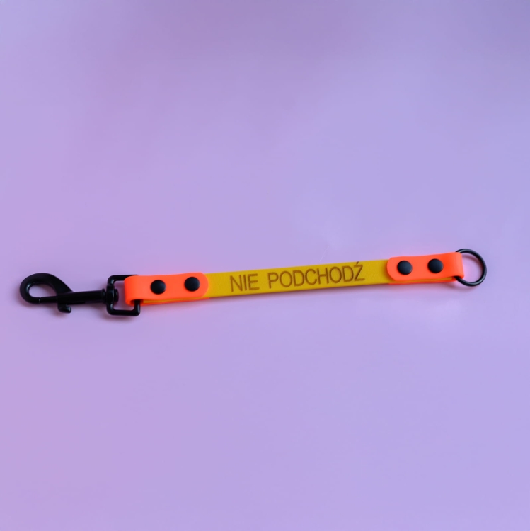 bueno dog-akcesoria-dla-psow-smycz-obroza-dla-psa--38.jpg