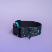 Obroża na zatrzask 4 cm (40 mm) dla psa – widok całego produktu Bueno DOG