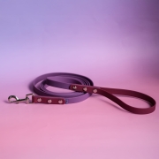 bueno dog- akcesoria-dla psów-obroza-smycz-dla-psa (9).jpg