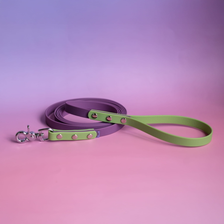 bueno dog- akcesoria-dla psów-obroza-smycz-dla-psa (6).jpg