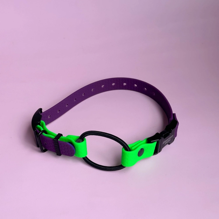 Fioletowo-zielony pasek Bueno DOG do OE z czarnym bungee