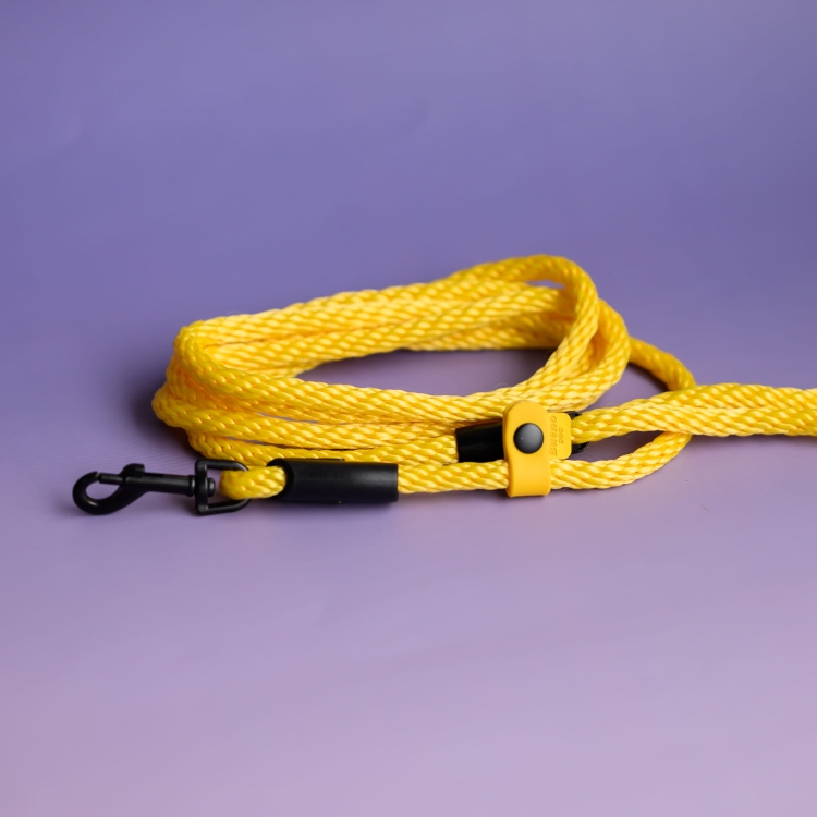bueno dog-akcesoria-dla-psow-smycz-obroza-dla-psa--93.jpg