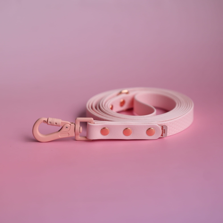 bueno dog-akcesoria-dla-psow-smycz-obroza-dla-psa--77.jpg