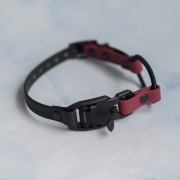 Wodoodporny pasek do obroży elektrycznej bungee 20mm ze sprzączką i zatrzaskiem — Bueno DOG Zatrzask Fidlock