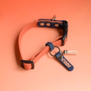 bueno dog-akcesoria-dla-psow-smycz-obroza-dla-psa--45.jpg