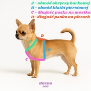 Schemat pomiarów A, B, C i D do szelek guard Bueno DOG na przykładzie chihuahua