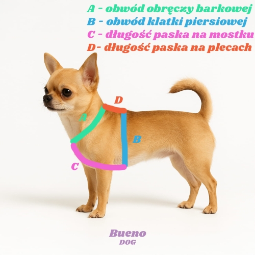jak zmierzyć psa do szelek
