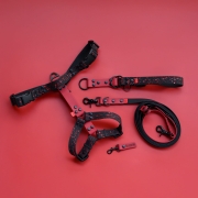 bueno dog-akcesoria-dla-psow-smycz-obroza-dla-psa--133.jpg