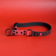 bueno dog-akcesoria-dla-psow-smycz-obroza-dla-psa--135.jpg