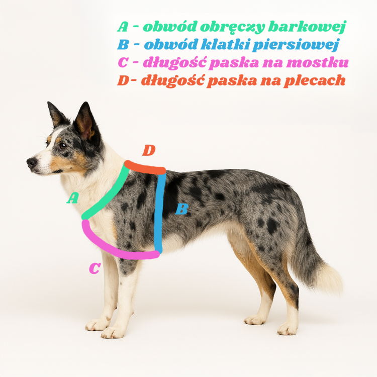 1d570c8f-155b-4843-999ss3-76f08e1731cc.png