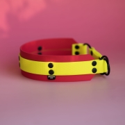 bueno dog-akcesoria-dla-psow-smycz-obroza-dla-psa--187.jpg