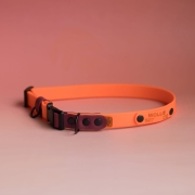 bueno dog-akcesoria-dla-psow-smycz-obroza-dla-psa--244.jpg