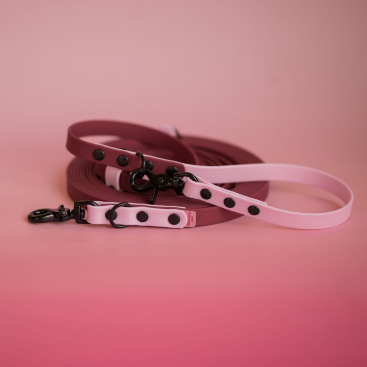 bueno dog-akcesoria-dla-psow-smycz-obroza-dla-psa--206.jpg