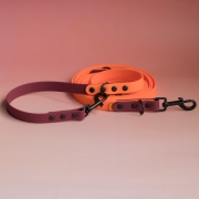 bueno dog-akcesoria-dla-psow-smycz-obroza-dla-psa--243.jpg