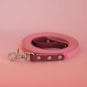 bueno dog-akcesoria-dla-psow-smycz-obroza-dla-psa--202.jpg