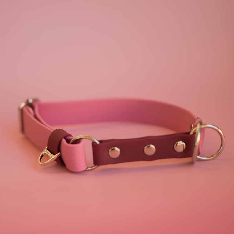 bueno dog-akcesoria-dla-psow-smycz-obroza-dla-psa--203.jpg