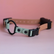 Kolorowy pasek bungee do obroży elektrycznej 16mm – pasuje do Educator Dogtra DOGtrace Bueno DOG
