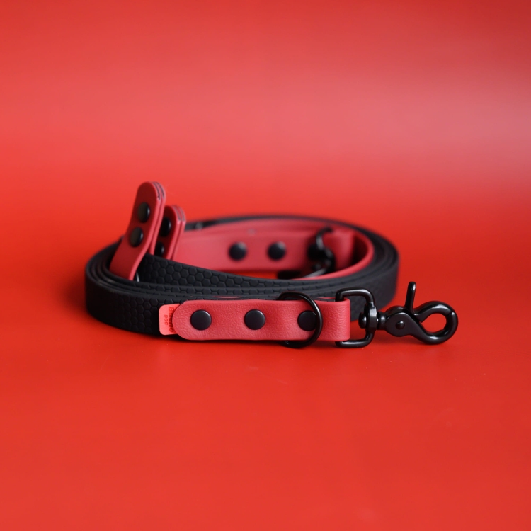 bueno dog-akcesoria-dla-psow-smycz-obroza-dla-psa--136.jpg