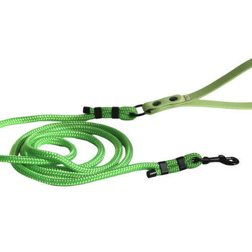 Smycz miejska Neon Green z zieloną rączką z taśmy i czarnymi okuciami