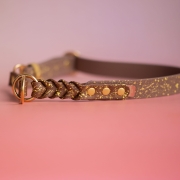 bueno dog-akcesoria-dla-psow-smycz-obroza-dla-psa--380.jpg