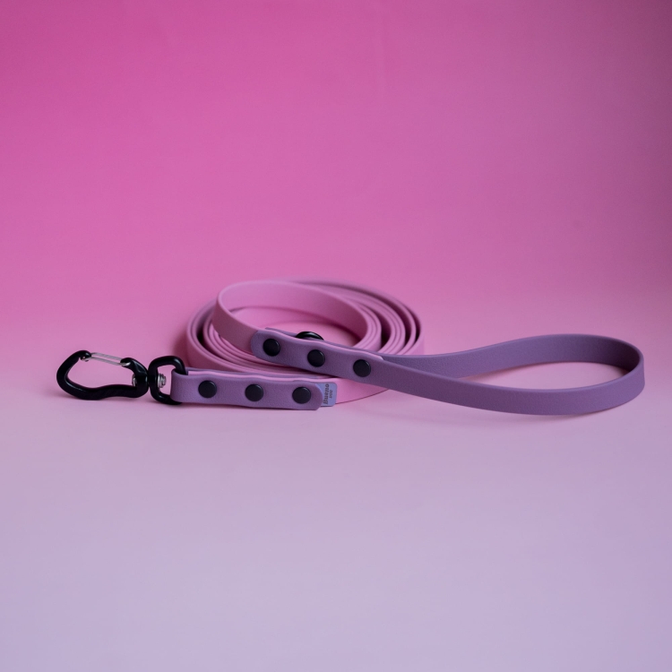 bueno dog-akcesoria-dla-psow-smycz-obroza-dla-psa--401.jpg