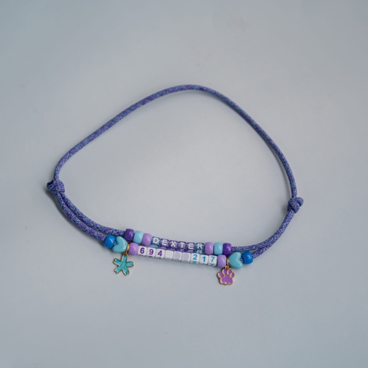 bueno dog-akcesoria-dla-psow-smycz-obroza-dla-psa--715.jpg