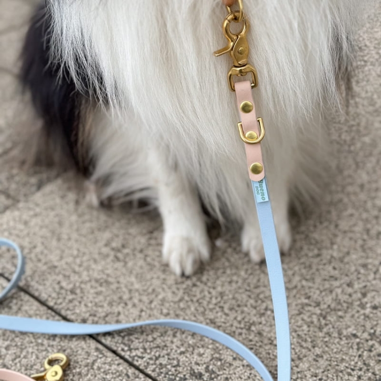 bueno dog-akcesoria-dla-psow-smycz-obroza-dla-psa--754.jpg