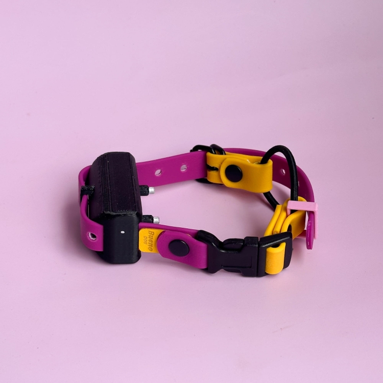 Pasek bungee do e-collara z wodoodpornej taśmy hexa — flat lay na jasnym tle e-collar educator dogtra dogtrace